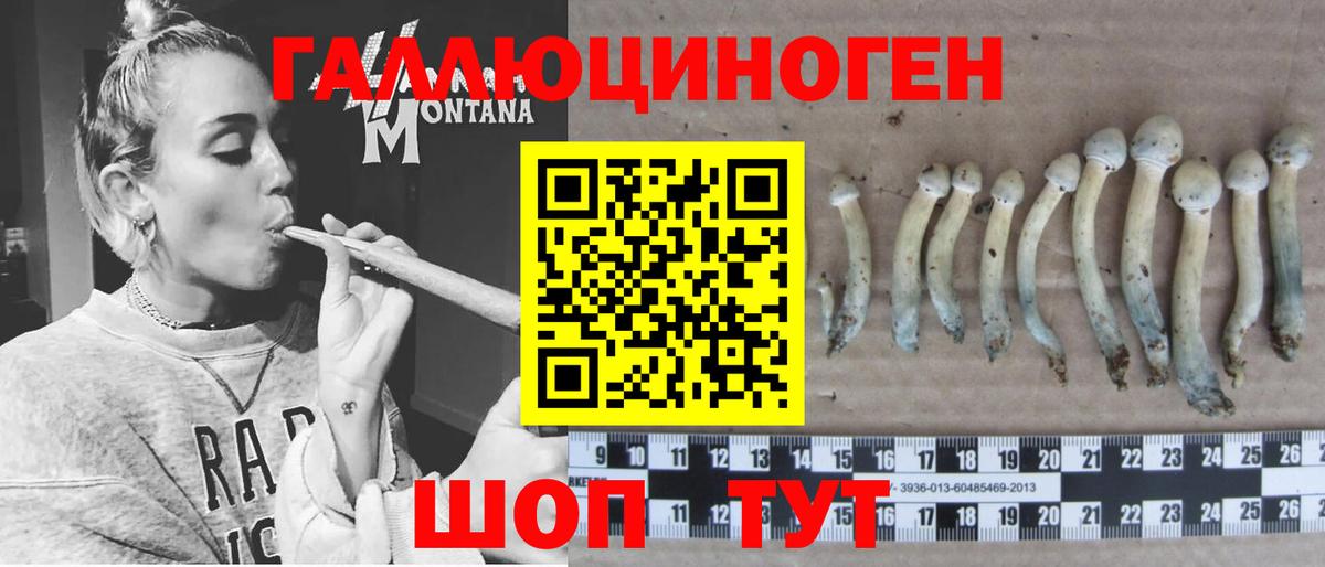 Галлюциногенные грибы Cubensis  Вход с VPN  Людиново 