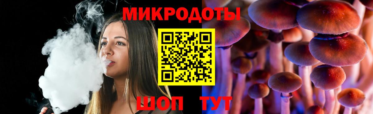 Псилоцибиновые грибы Cubensis Людиново